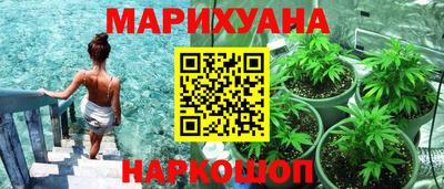 сатива Беслан