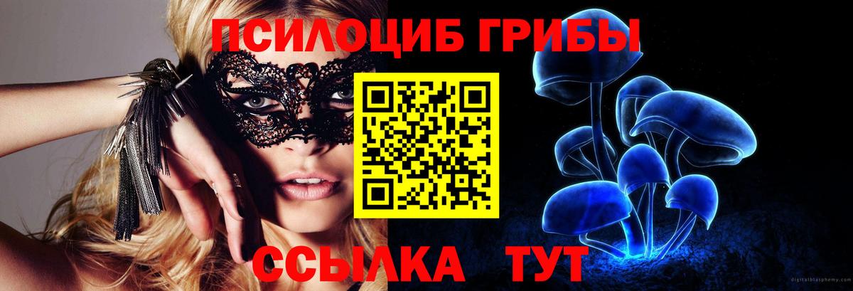 Галлюциногенные грибы Cubensis  Вход с VPN  Кировск 