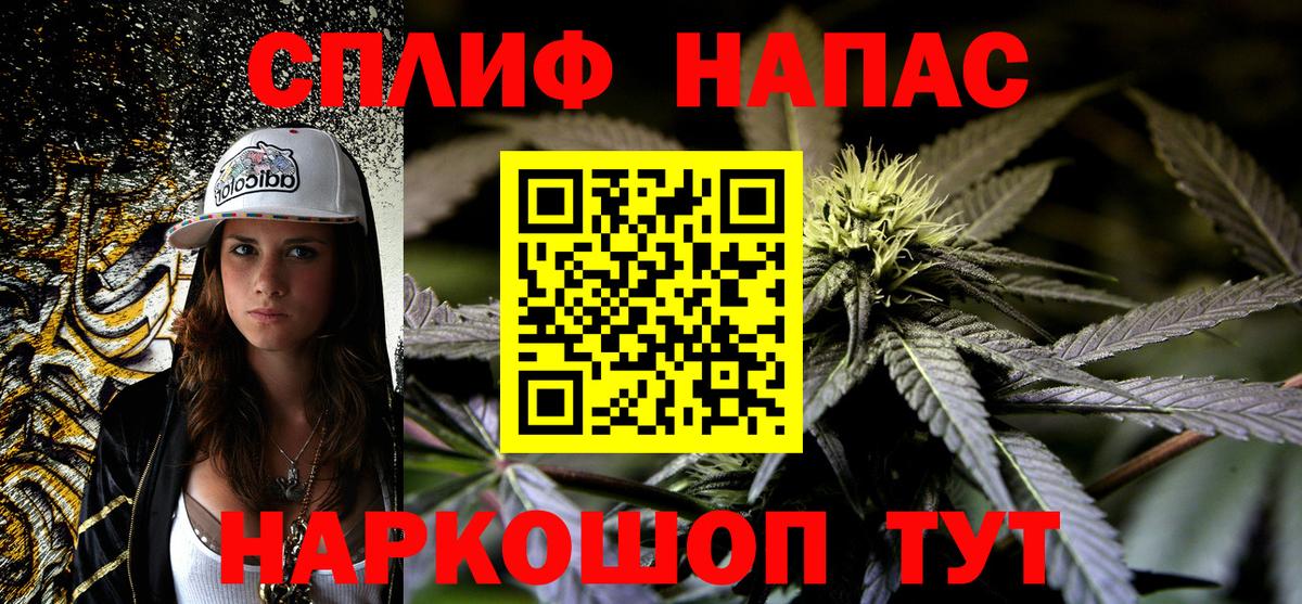 Конопля THC 21%  Вход с VPN  Кировск  Канабис семена 